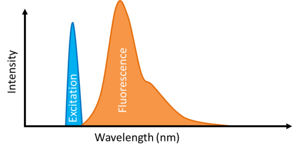 FluorescenceSpectra FluorescenceSpectra