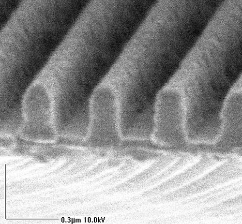 Grating foundry_500x463 Grating SEM, Photoresist on Si, 350 nm period